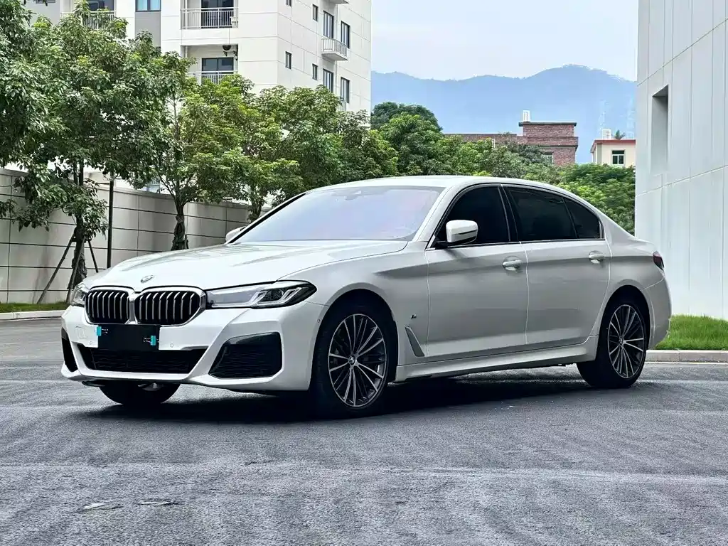 BMW 5 Series 2020 530Li Leading M Sports Package купить на сайте DeffCars