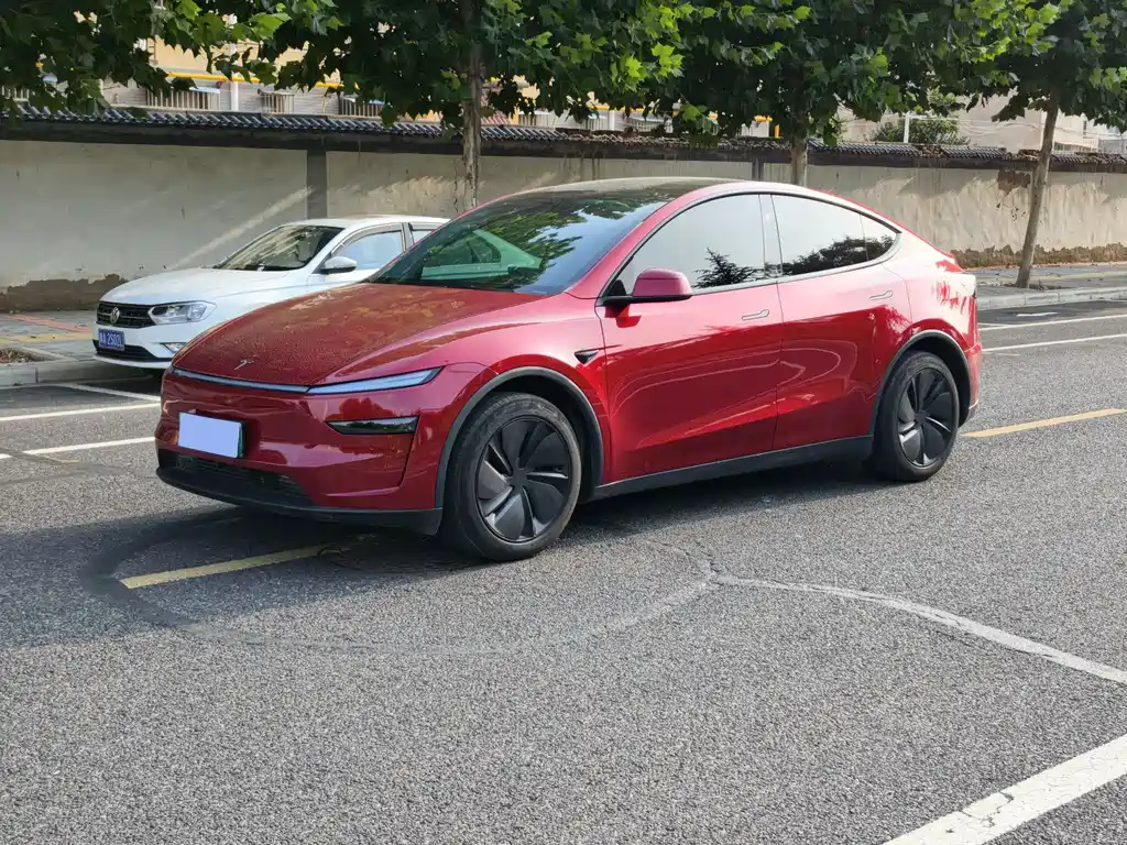 Model Y 2025 rear-wheel drive version купить на сайте DeffCars