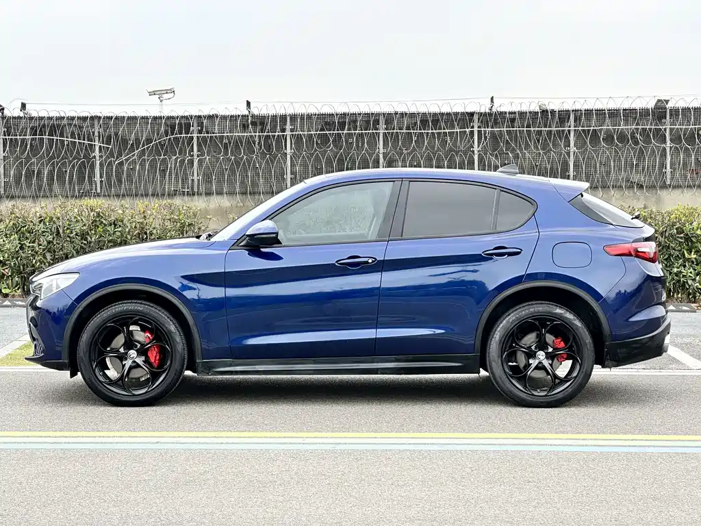 Stelvio 2017 2.0T 200HP Elite Edition купить на сайте DeffCars