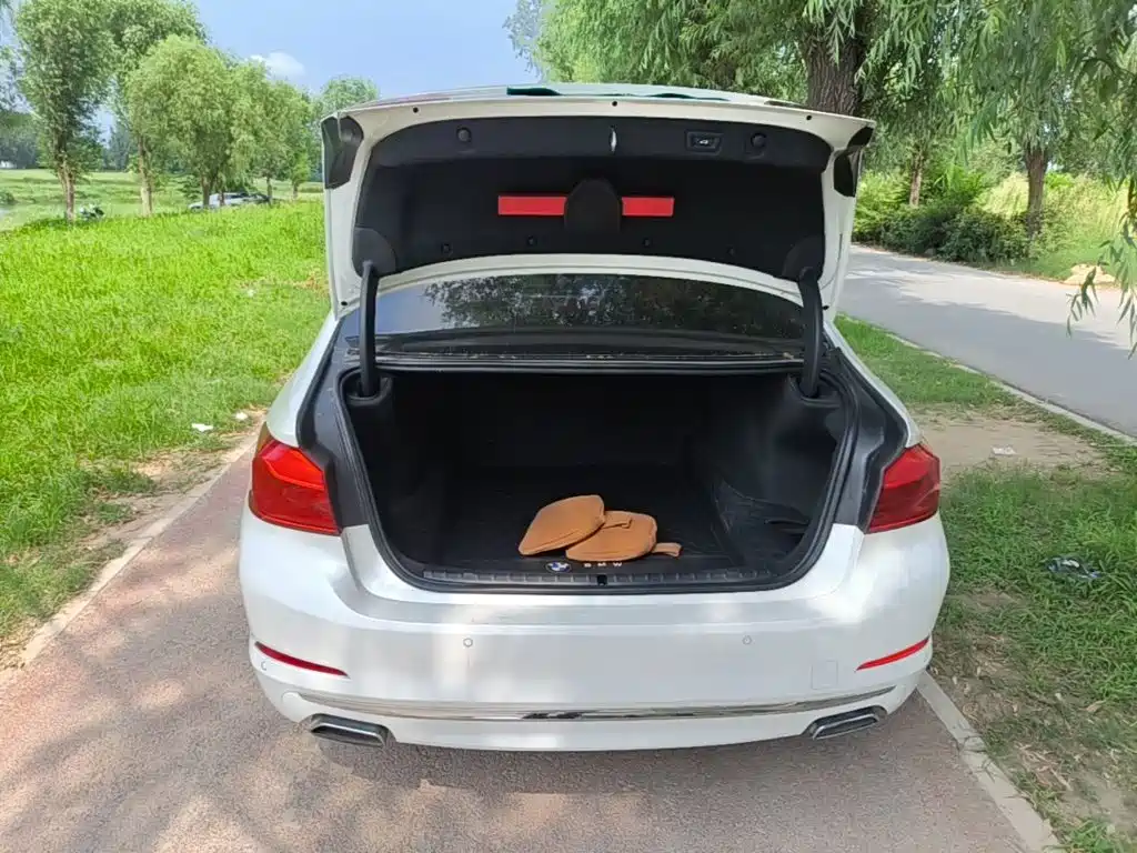 BMW 5 Series 2019 530Li Leading Luxury Package купить на сайте DeffCars