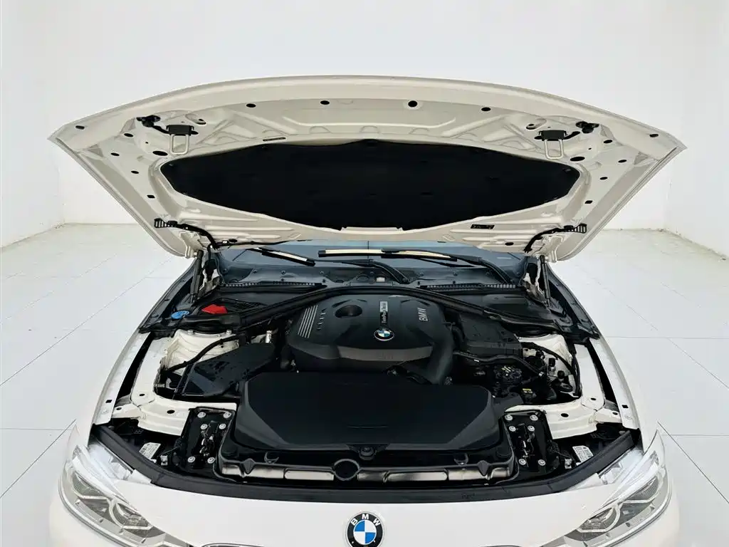 BMW 3 Series 2018 320Li Fashion Model купить на сайте DeffCars