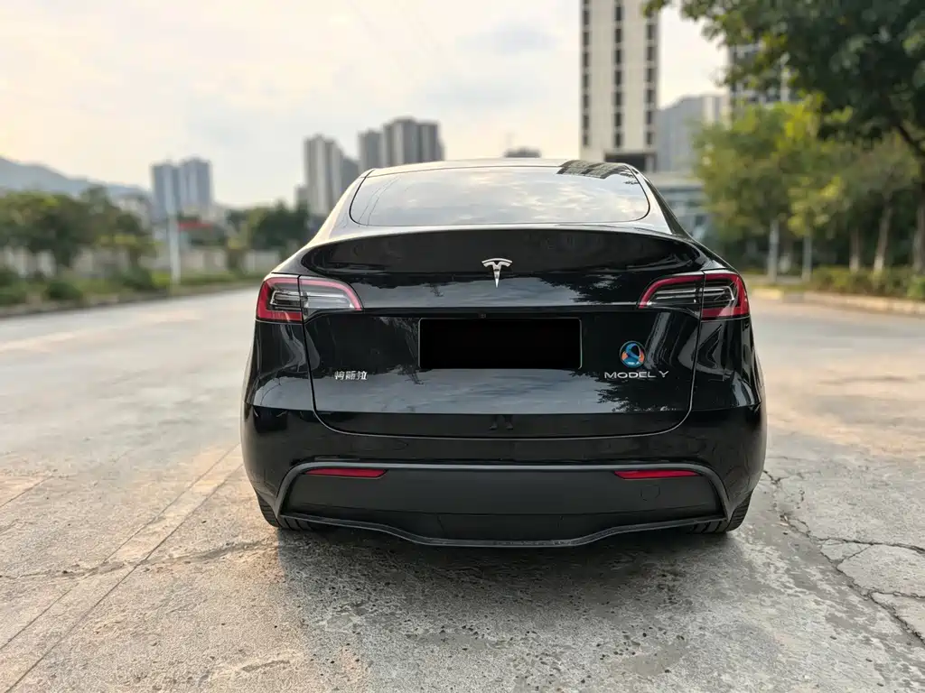 Model Y 2021 standard range rear-wheel drive version купить на сайте DeffCars