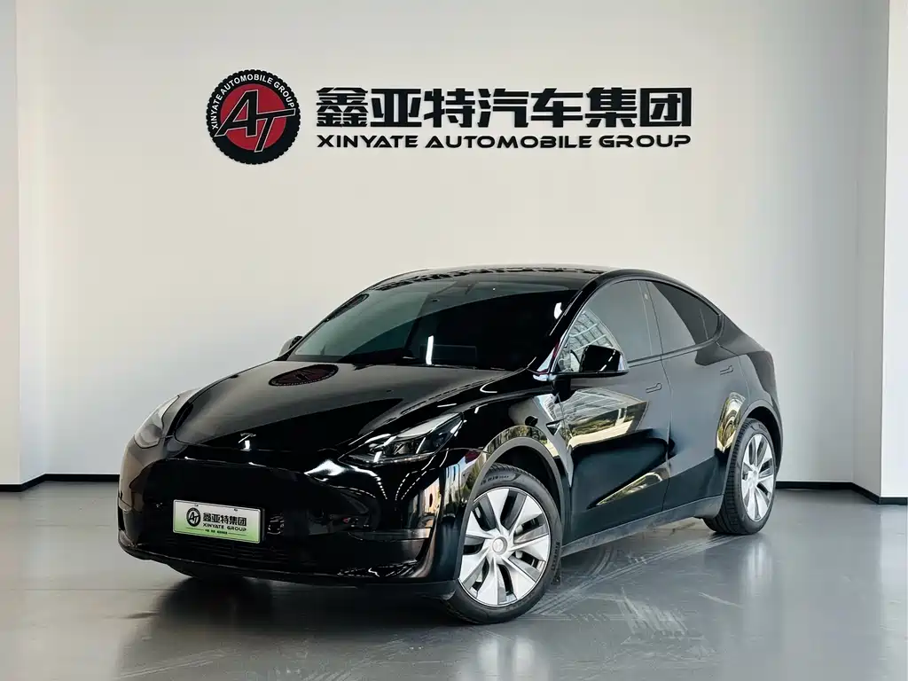 Model Y 2021 standard range rear-wheel drive version купить на сайте DeffCars