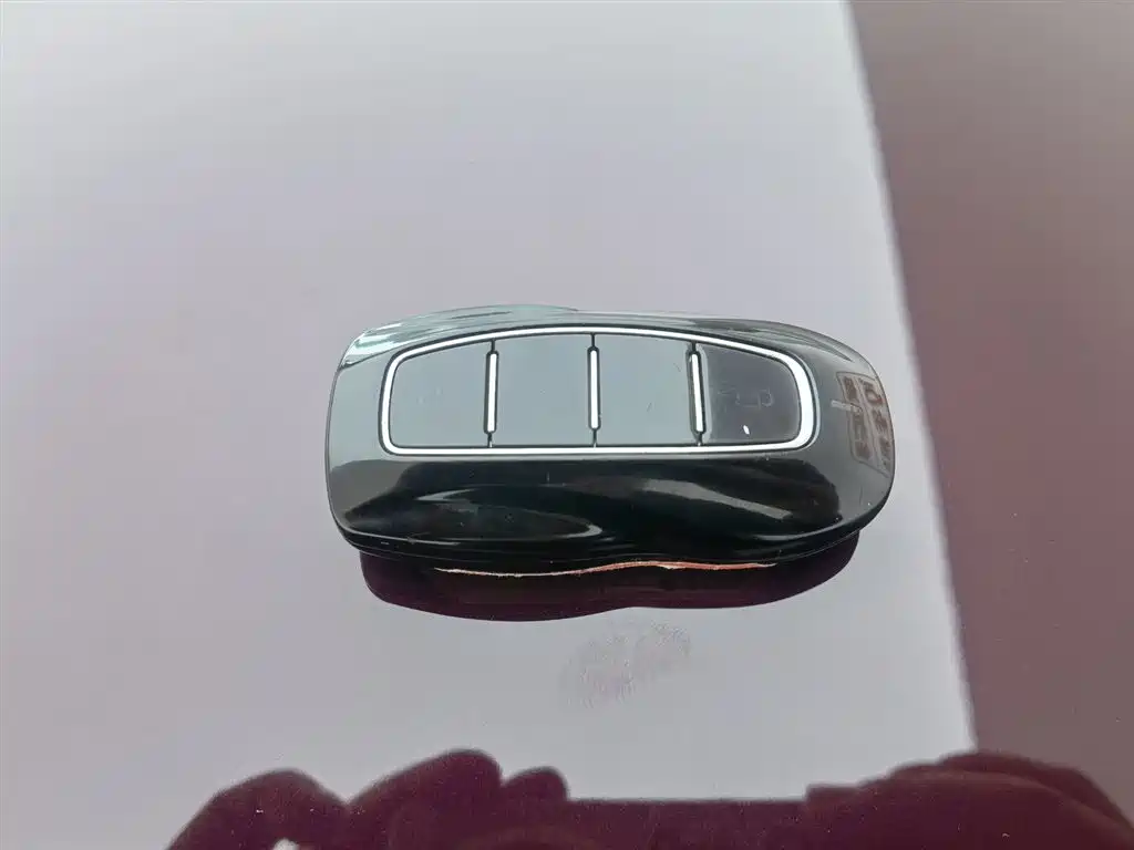 Lingyu 2021 EcoBoost 225 Collar Type 6 Seats купить на сайте DeffCars
