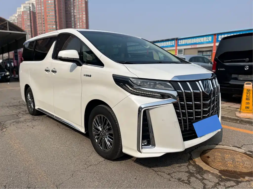 Alfa 2021 Shuangqing 2.5L Premium Edition купить на сайте DeffCars