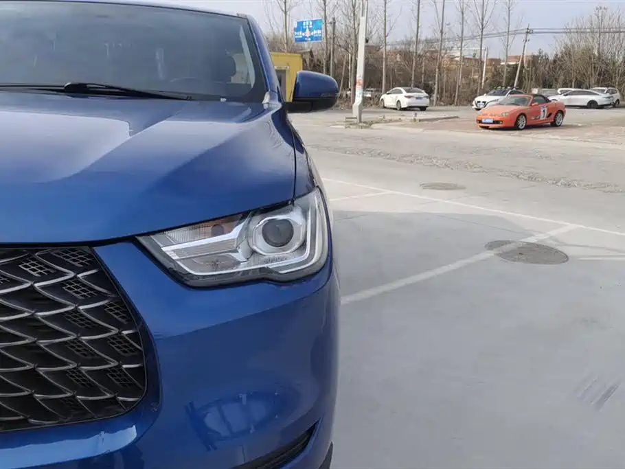 Cannon 2021 2.0T commercial version automatic diesel two-wheel drive elite long box GW4D20M купить на сайте DeffCars