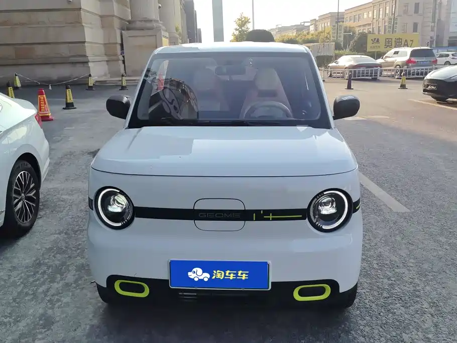 Panda 2025 Panda mini 210km Yuanqi Bear купить на сайте DeffCars