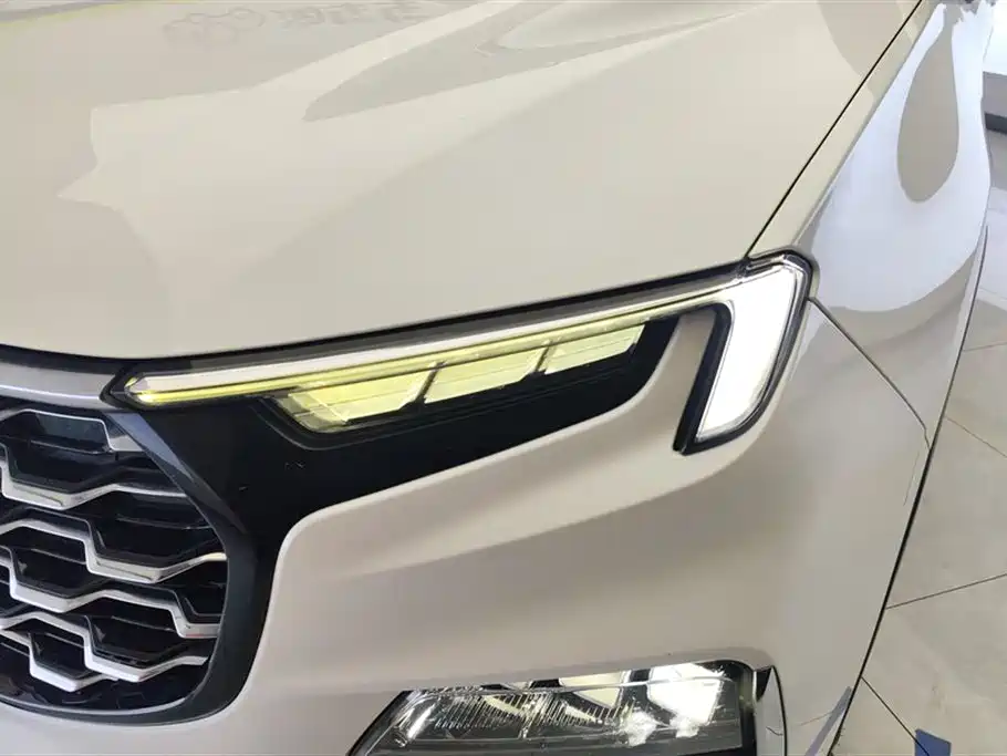 Lingyu 2021 EcoBoost 225 Collar Type 6 Seats купить на сайте DeffCars