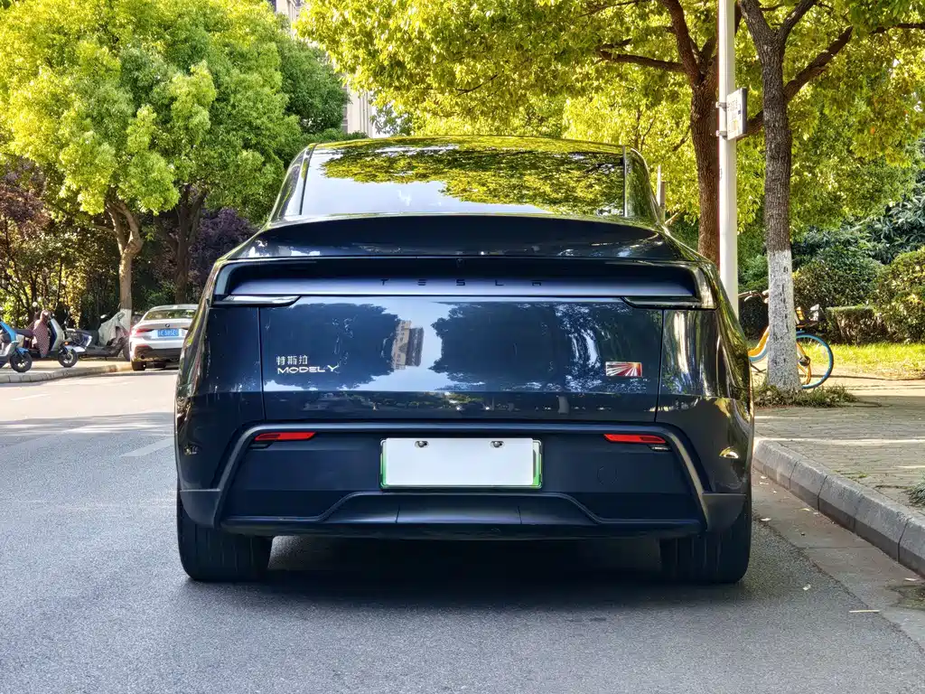 Model Y 2025 rear-wheel drive first edition купить на сайте DeffCars