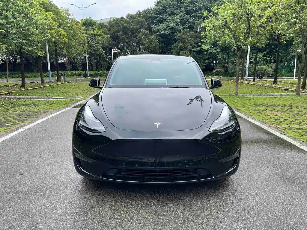 Model Y 2022 long-range all-wheel drive version купить на сайте DeffCars