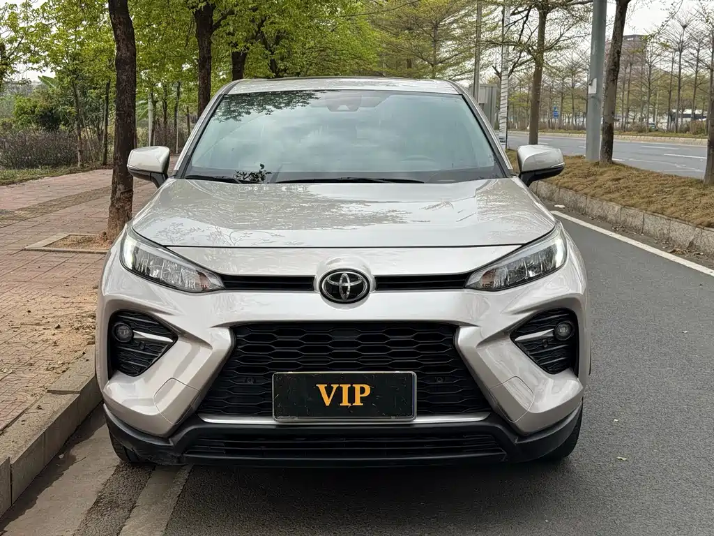 Wilanda 2020 2.0L CVT four-wheel drive luxury version купить на сайте DeffCars