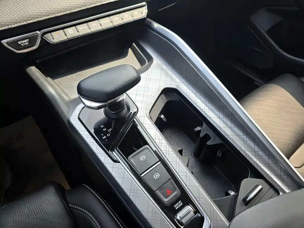 Xingrui 2023 2.0TD luxury model купить на сайте DeffCars