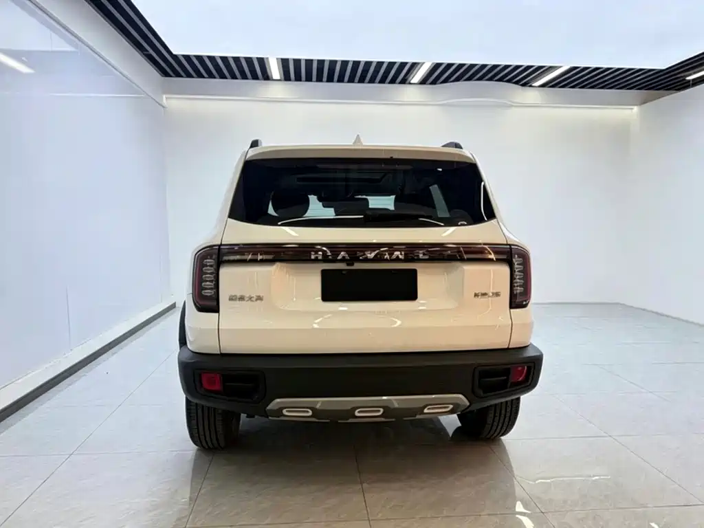 Havaldog 2024 1.5T DCT Border Collie Edition купить на сайте DeffCars