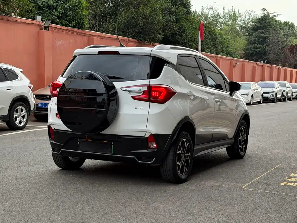 Yuan Pro 2021 must love the Lifetime Edition купить на сайте DeffCars