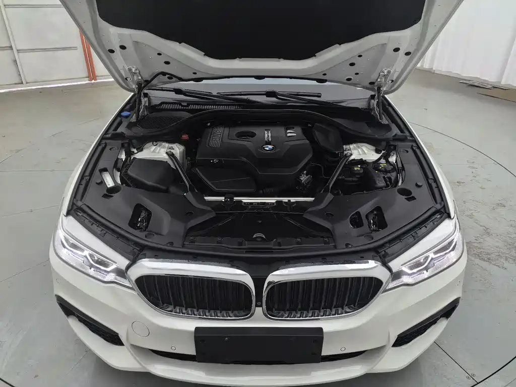 BMW 5 Series 2018 530Li Exclusive M Sports Package купить на сайте DeffCars