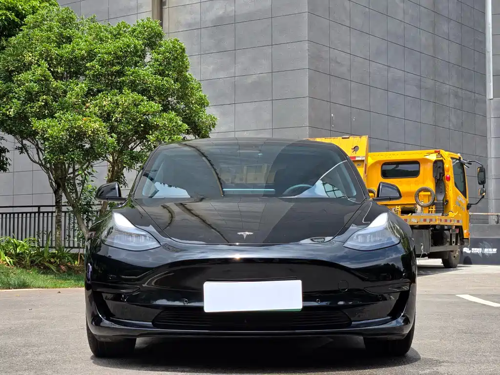 Model 3 2022 rear-wheel drive version купить на сайте DeffCars