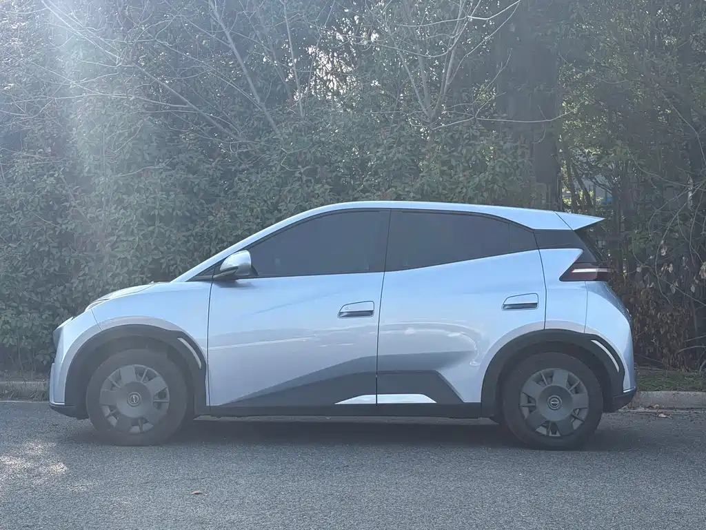 Seagull 2024 Honor Edition 305km Vitality Edition купить на сайте DeffCars