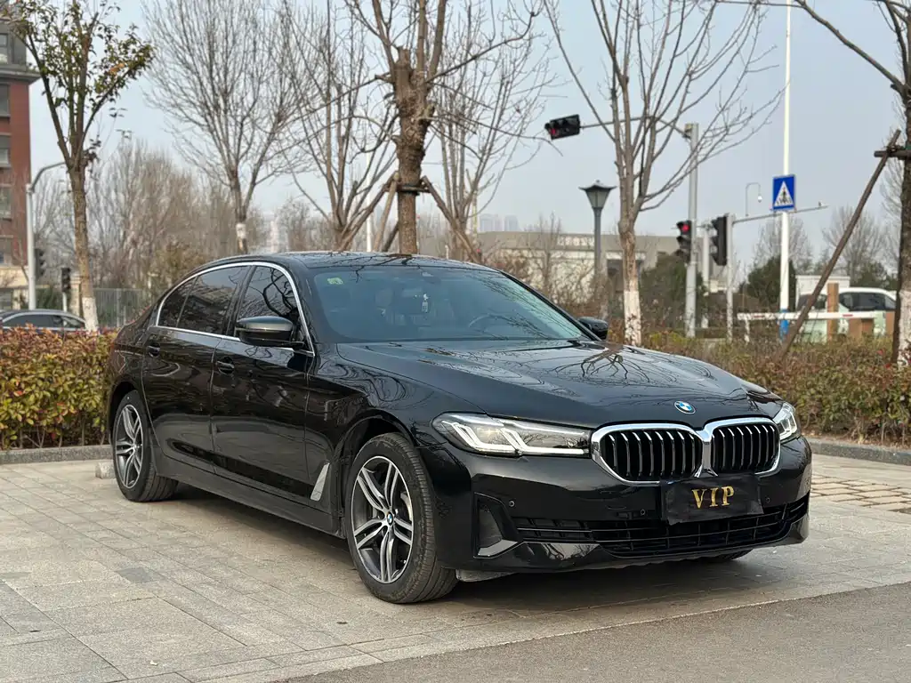 BMW 5 Series 2021 530Li Leading Luxury Package купить на сайте DeffCars