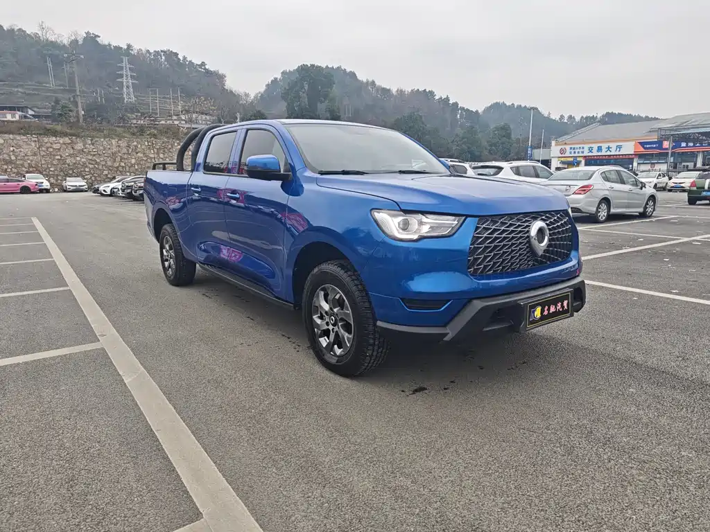 Cannon 2021 2.0T commercial version automatic diesel four-wheel drive elite long box GW4D20M купить на сайте DeffCars