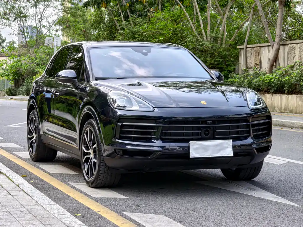 Cayenne 2022 Cayenne 3.0T Platinum Edition купить на сайте DeffCars