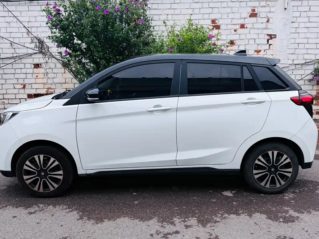 Young Guangxiaoxin 2023 302km Pearl Edition купить на сайте DeffCars
