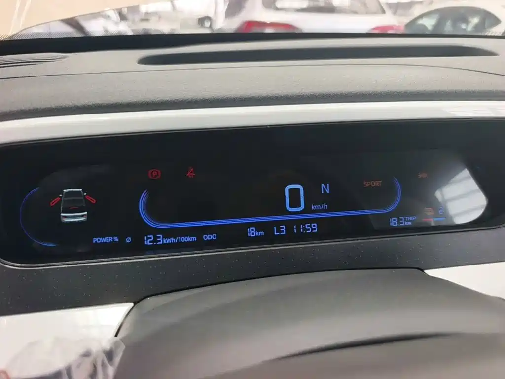 Panda 2025 Panda mini 210km Yuanqi Bear купить на сайте DeffCars