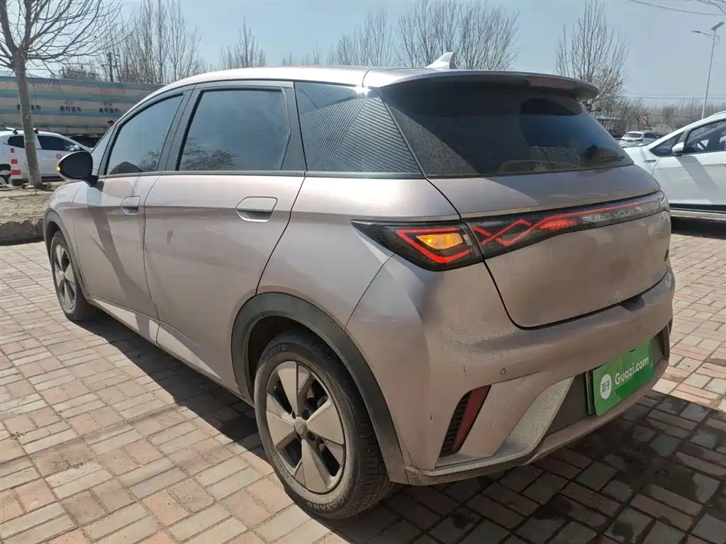Dolphin 2023 420km Free Edition купить на сайте DeffCars