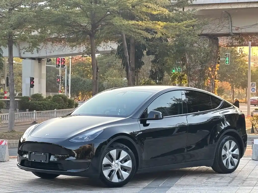 Model Y 2021 standard range rear-wheel drive version купить на сайте DeffCars