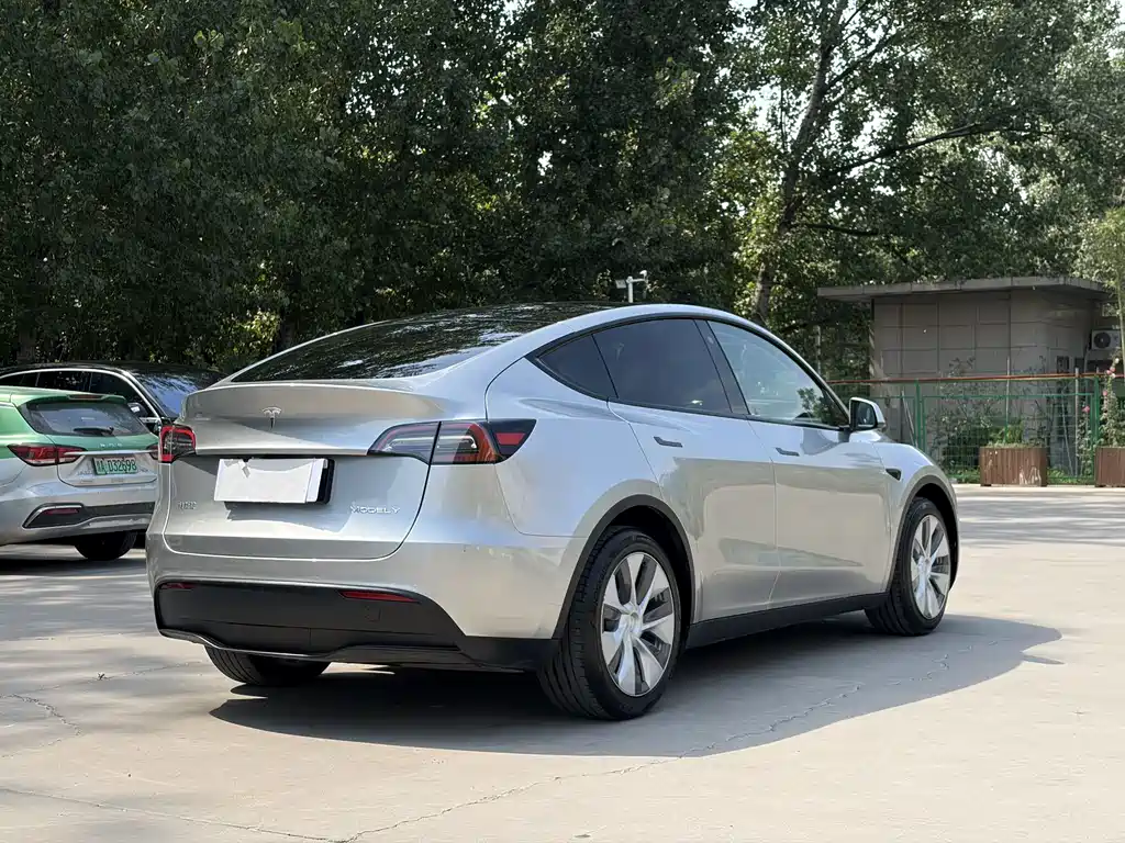 Model Y 2021 standard range rear-wheel drive version купить на сайте DeffCars