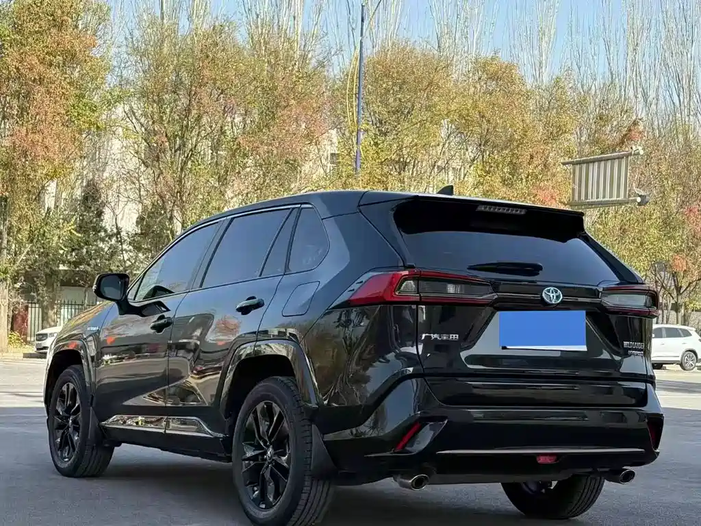 Wilanda 2022 Dual Engine 2.5L E-CVT Two-wheel Drive Cavalier Edition купить на сайте DeffCars