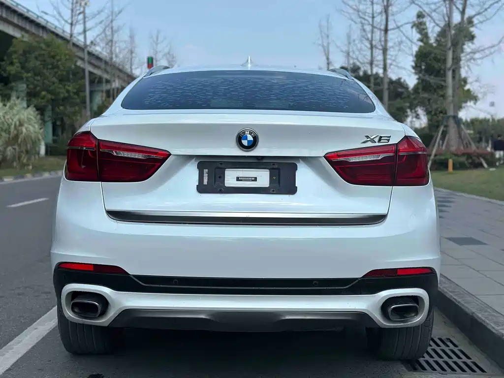 BMW X6 2017 xDrive35i leading model купить на сайте DeffCars