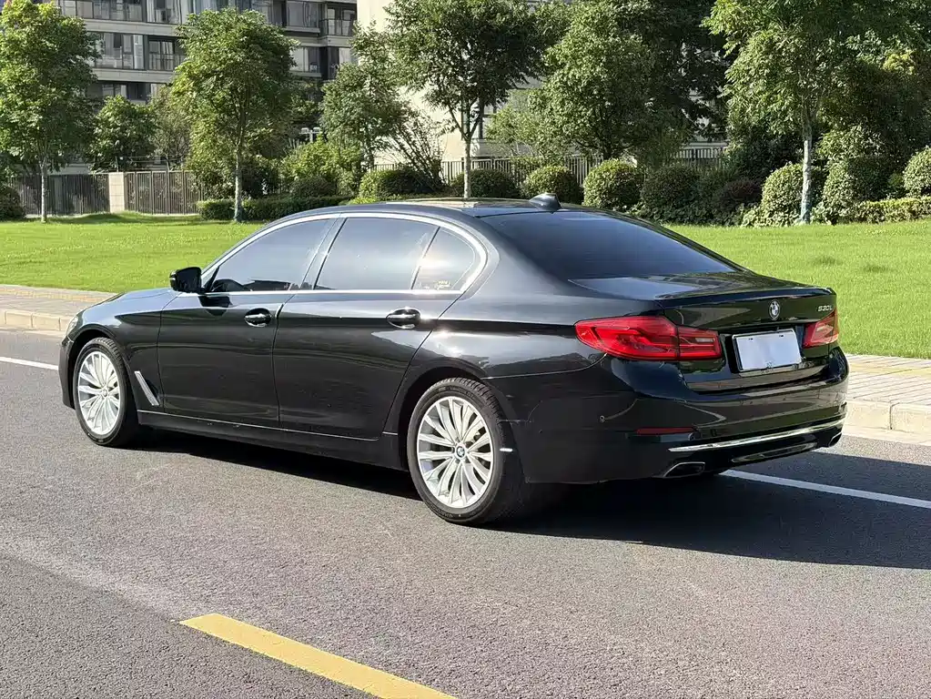 BMW 5 Series 2020 530Li Exclusive Luxury Package купить на сайте DeffCars