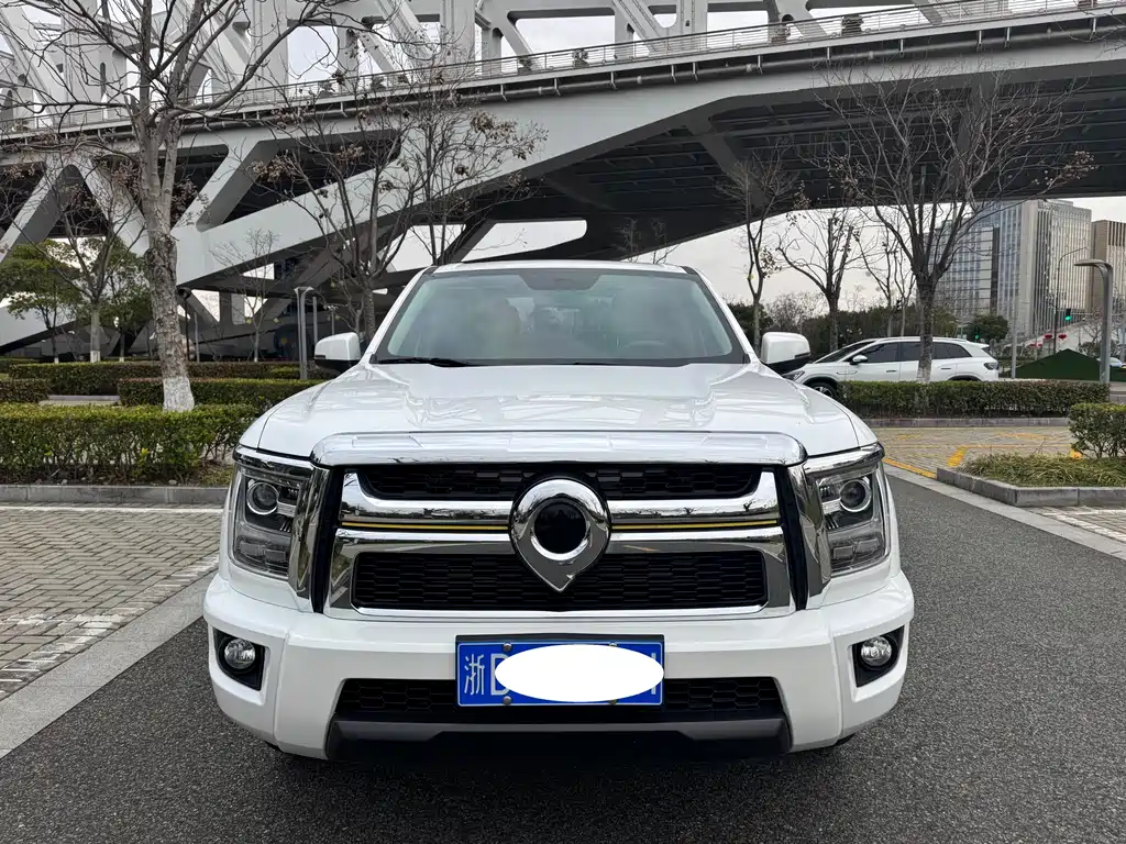 King Kong Cannon 2023 2.0T automatic gasoline two-wheel drive elite flat box GW4C20C купить на сайте DeffCars