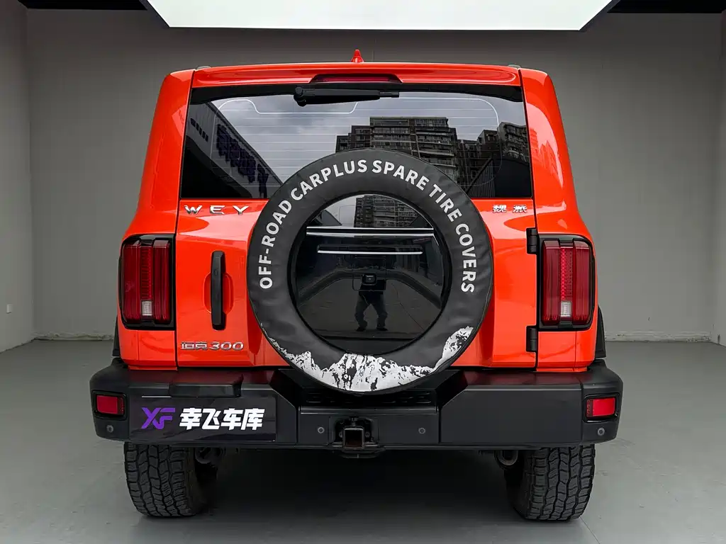 Tank 300 2021 Off-Road Version 2.0T Conqueror купить на сайте DeffCars