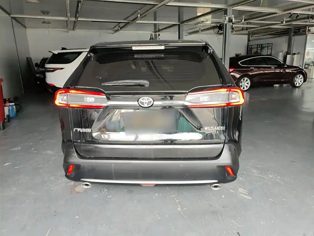 Wilanda 2020 2.0L CVT two-wheel drive luxury version купить на сайте DeffCars