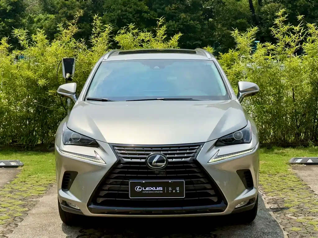 Lexus NX 2020 300h front-wheel drive Fengshang Edition National VI купить на сайте DeffCars