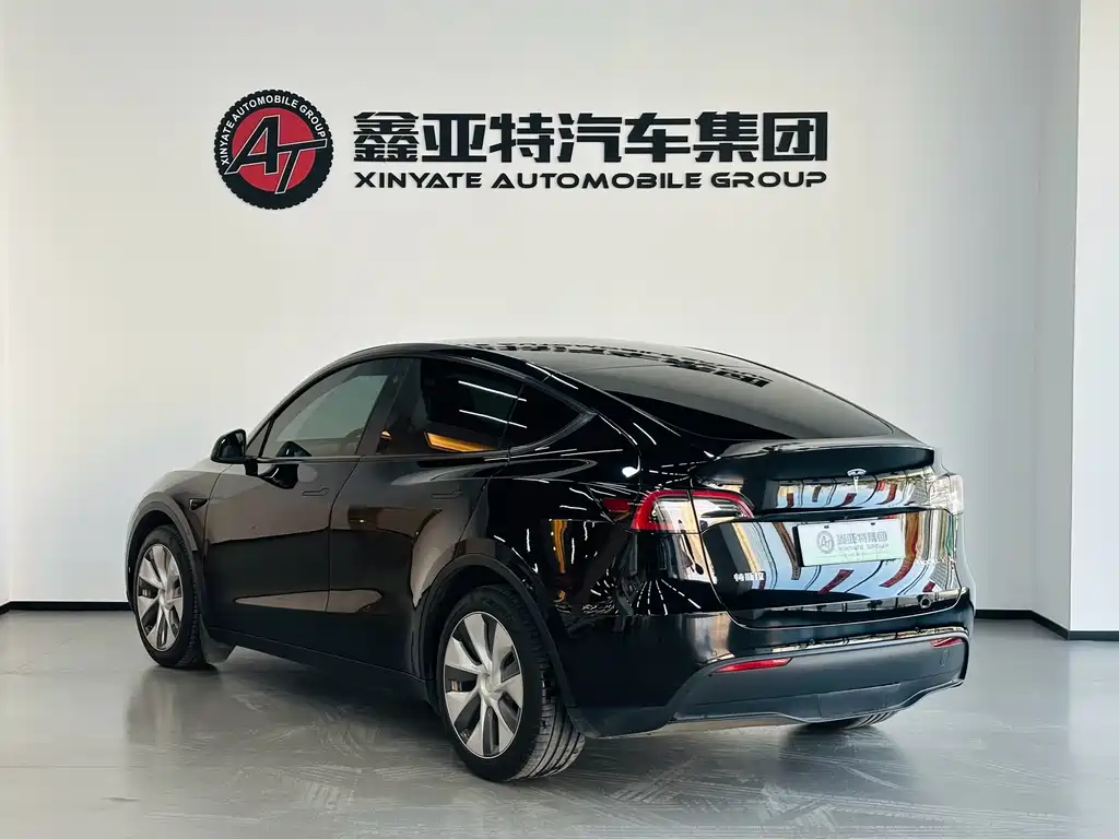 Model Y 2021 standard range rear-wheel drive version купить на сайте DeffCars