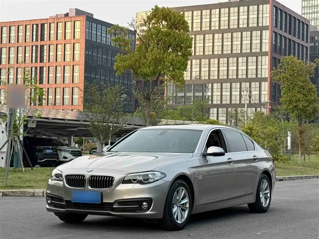 BMW 5 Series 2017 520Li Elegant купить на сайте DeffCars