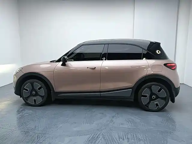 smart Elf #1 2022 Premium Edition купить на сайте DeffCars