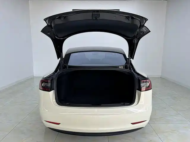 Model 3 2022 rear-wheel drive version купить на сайте DeffCars