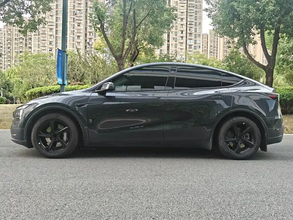 Model Y 2025 rear-wheel drive version купить на сайте DeffCars