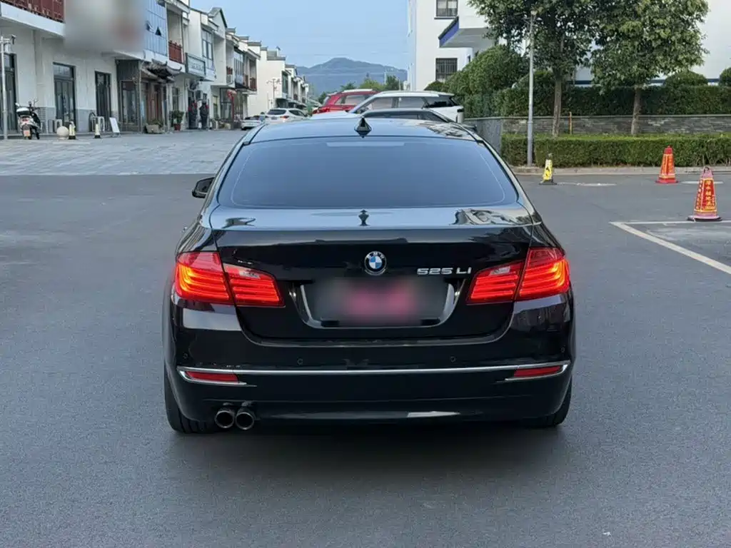 BMW 5 Series 2014 525Li Luxury Design Set купить на сайте DeffCars