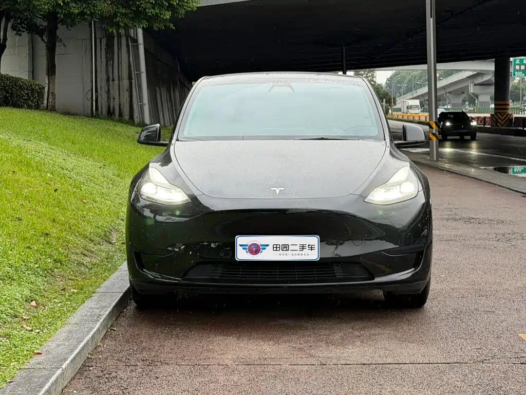 Model Y 2022 rear-wheel drive version купить на сайте DeffCars