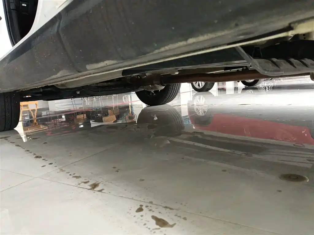 Zhipao 2021 Ace 2.0L Wonderful Edition купить на сайте DeffCars