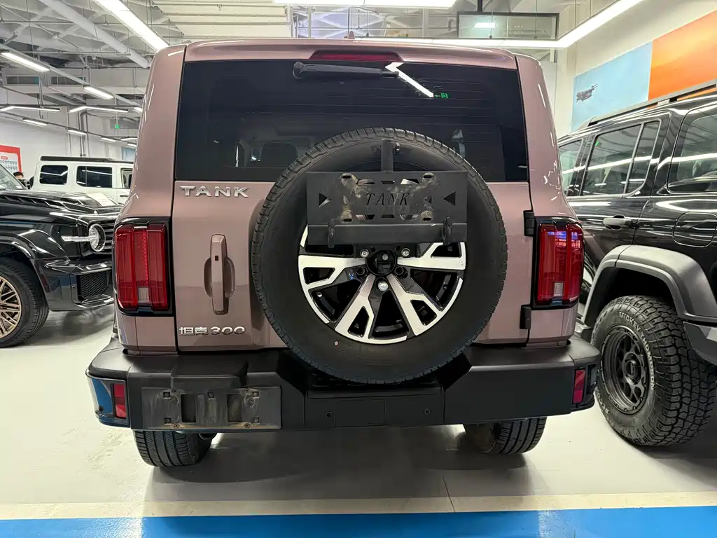 Tank 300 2023 City Edition 2.0T Very Stylish купить на сайте DeffCars