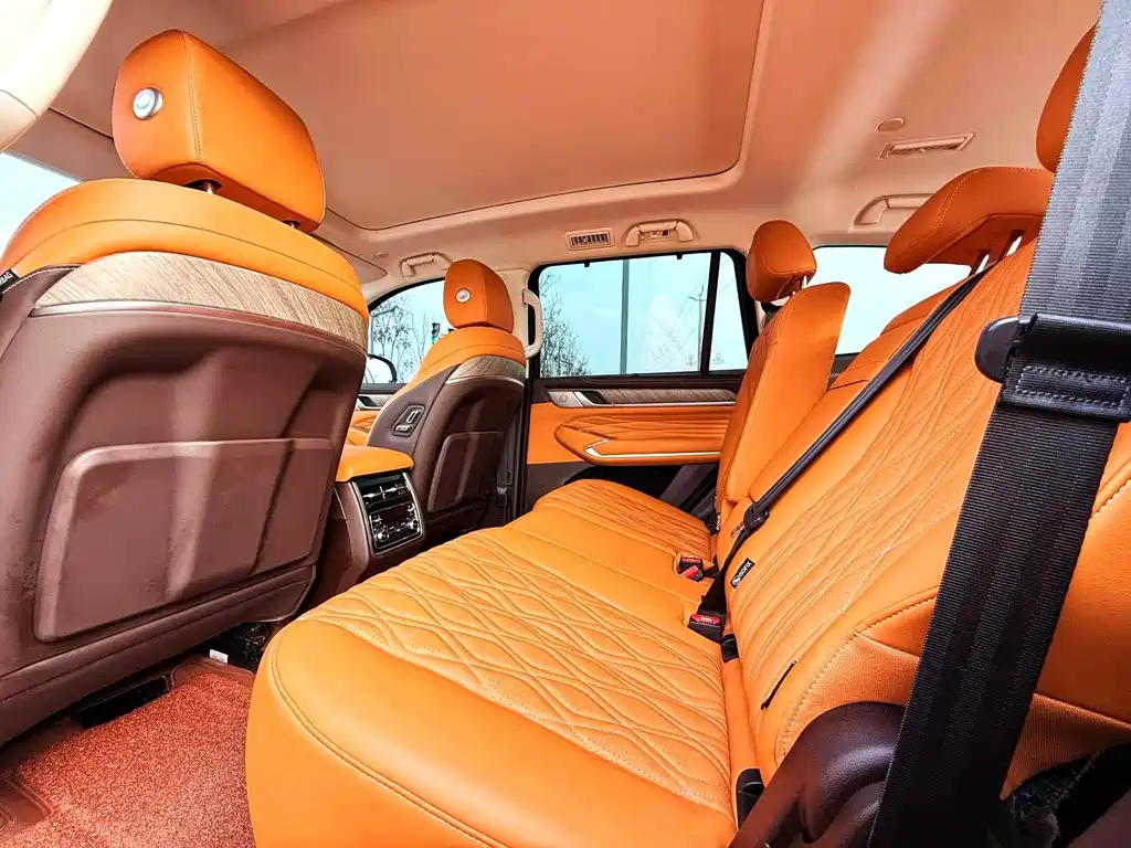 Tank 500 2022 model 3.0T sports version, environment type, 5 seats купить на сайте DeffCars