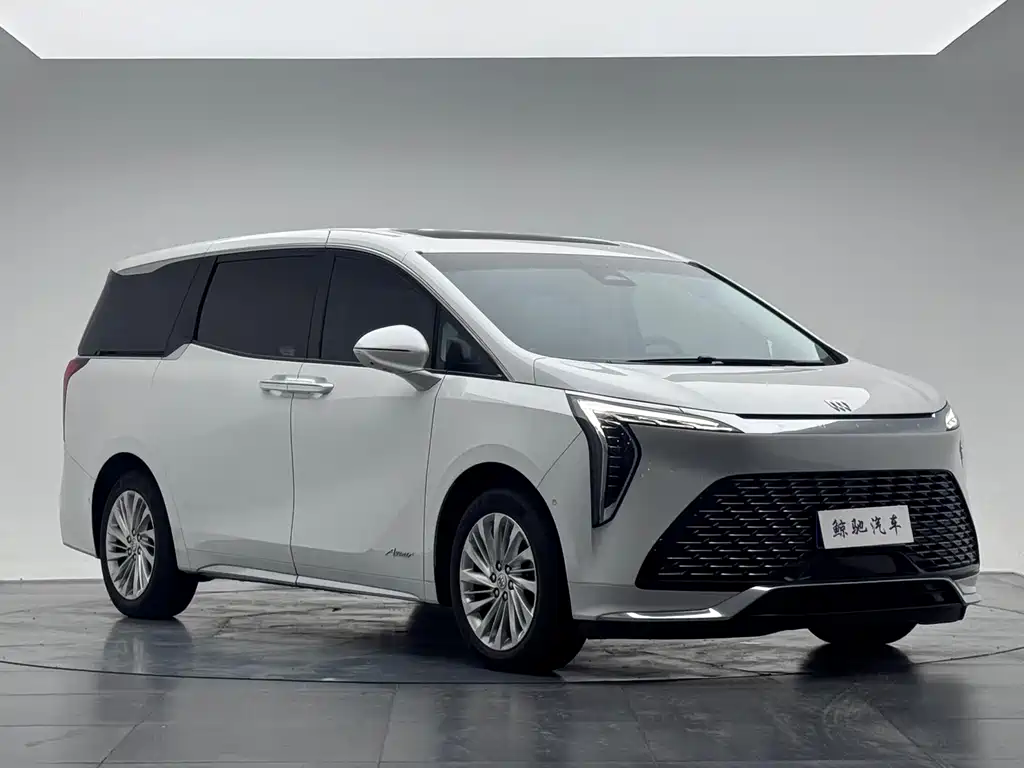 Century 2023 2.0T Six-seater Yuanshi Edition купить на сайте DeffCars