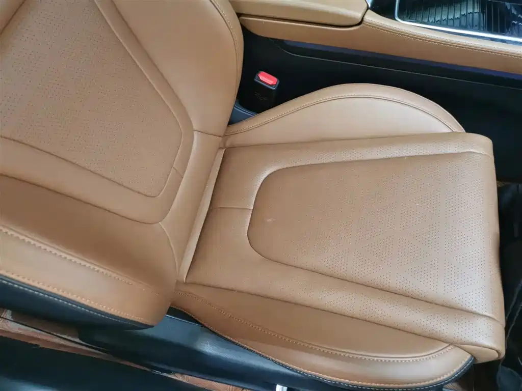 Pentium T99 2023 2.0T automatic premium model купить на сайте DeffCars