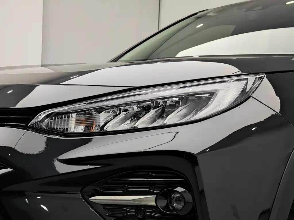 Wilanda 2021 2.0L CVT four-wheel drive luxury version купить на сайте DeffCars