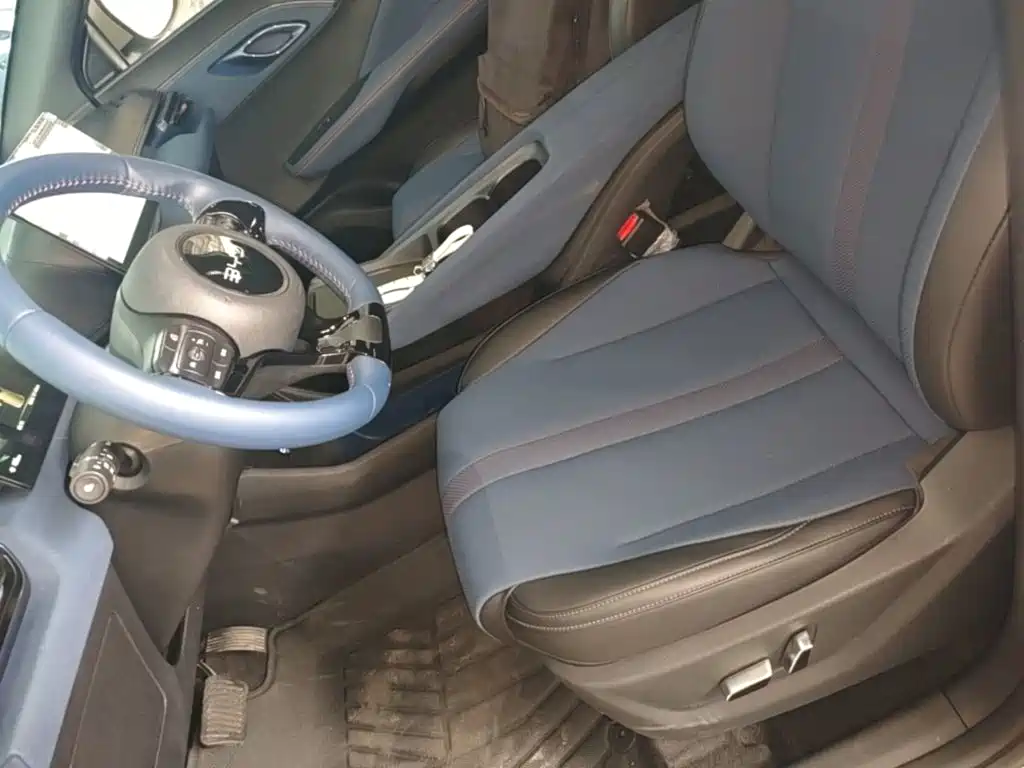 Seagull 2024 Honor Edition 305km Free купить на сайте DeffCars